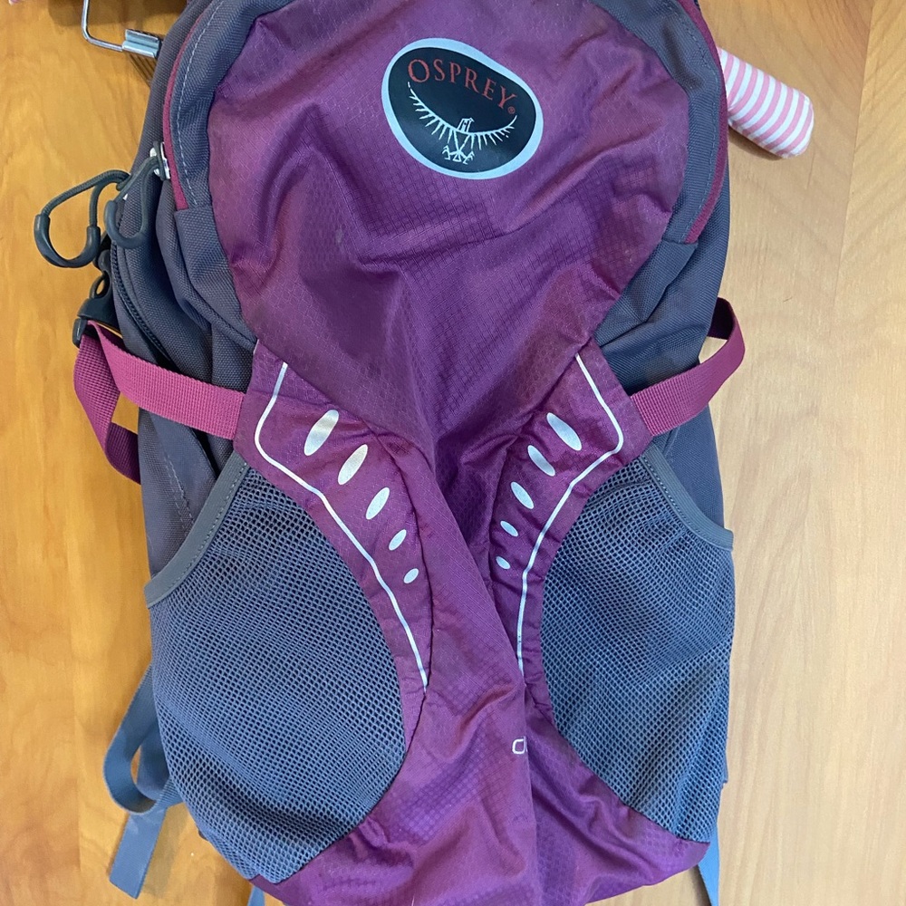 Osprey Daylite Purple and Gray Hiking Backpack